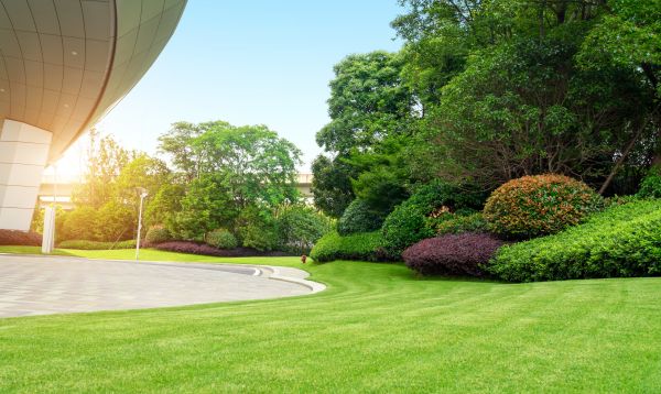 Cost of Commercial Lawn Mowing in Benton