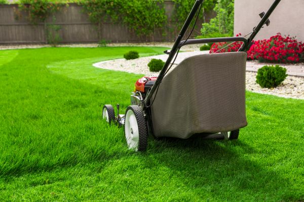 Cost of Home Yard Maintenance in Benton