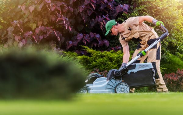 Cost of Lawn Care And Maintenance in Benton
