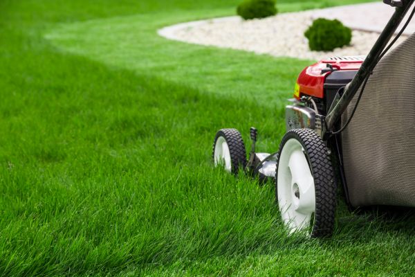 Cost of Mowing Service in Benton