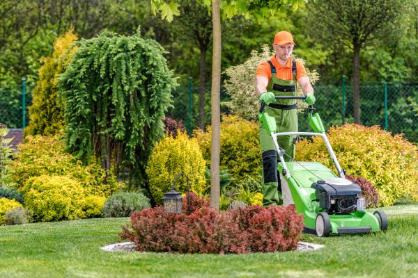 Cost of Yard Service in Benton