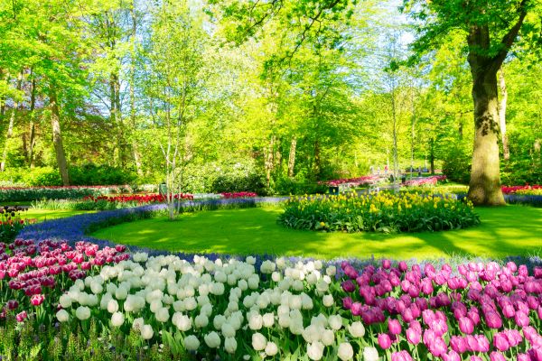 Cost of Spring Lawn Care in Benton