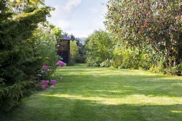 Cost of Yard Upkeep Service in Benton