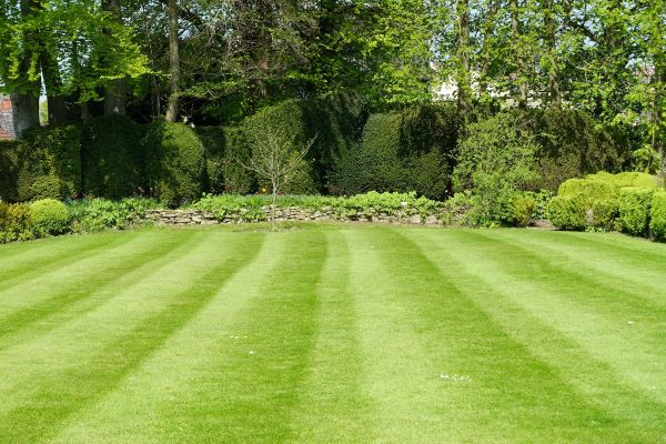 Cost of Grass Care Service in Benton