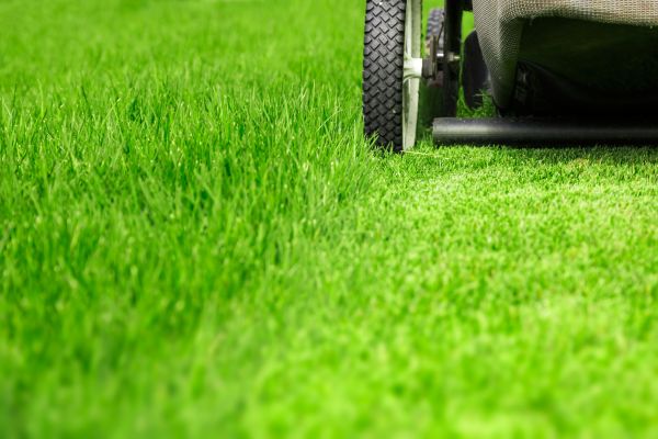 Cost of Weekly Lawn Care in Benton