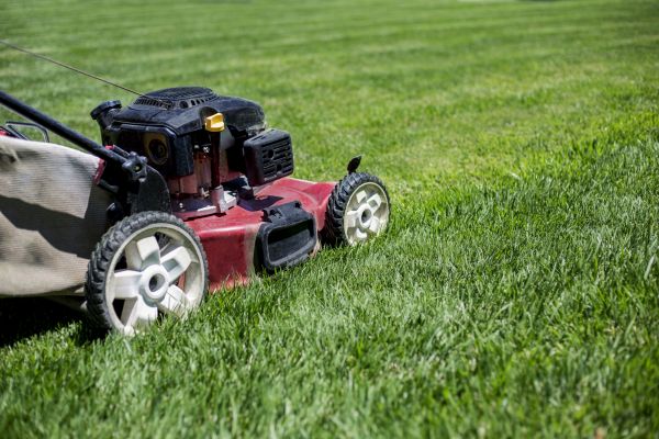 Cost of Routine Lawn Care in Benton