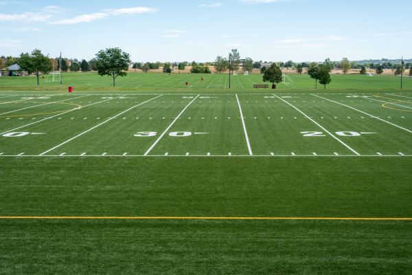 Cost of Groundskeeping Service in Benton
