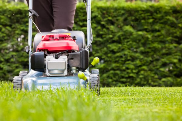 Cost of Grass Trimming Service in Benton
