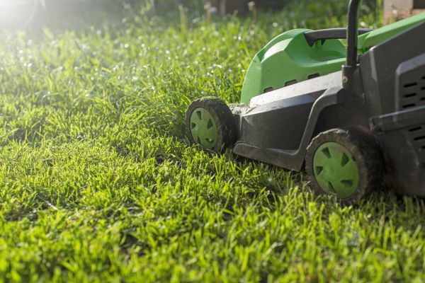 Cost of Lot Mowing in Benton