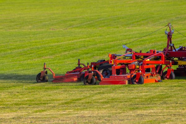Cost of Industrial Lawn Service in Benton