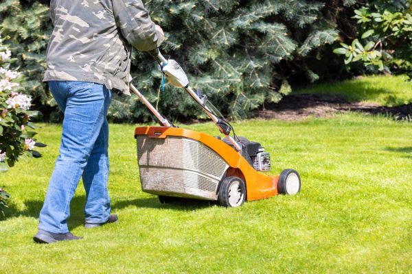 Cost of Springtime Lawn Care in Benton