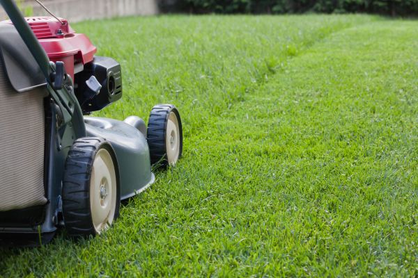 Cost of Spring Lawn Maintenance in Benton