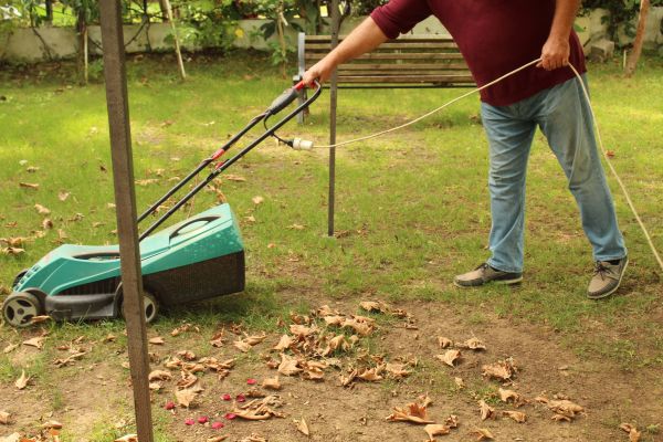 Cost of Leaves Mowing in Benton