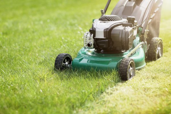 Cost of Spring Grass Trimming in Benton