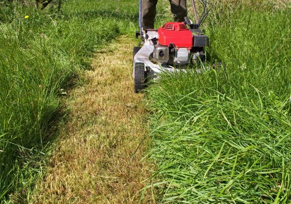 Cost of Leaf Mowing in Benton