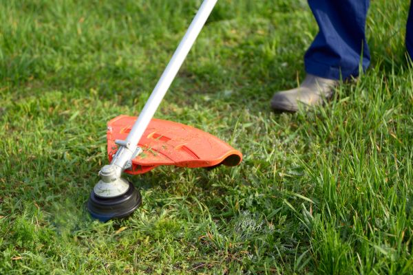 Cost of Lawn Weed Whacking in Benton